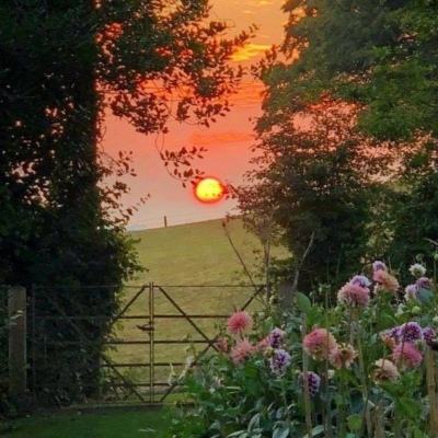 江南体育app下载手机app下载