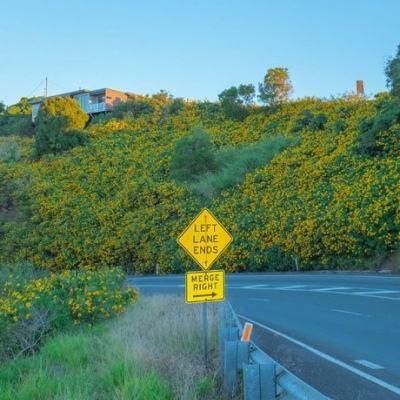 云开·体育官方网站