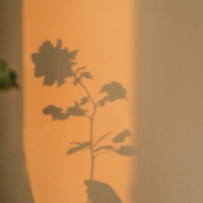 ag真人平台官方