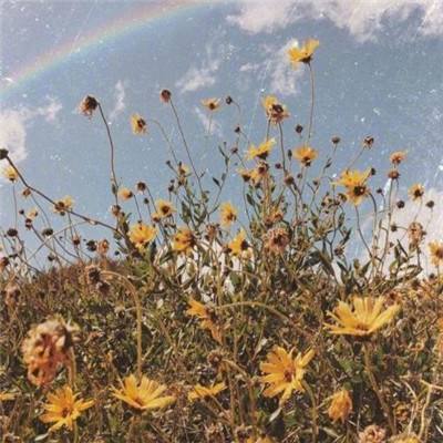 B体育登录APP下载手机app下载