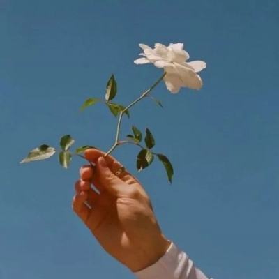 火狐官方网站下载手机版