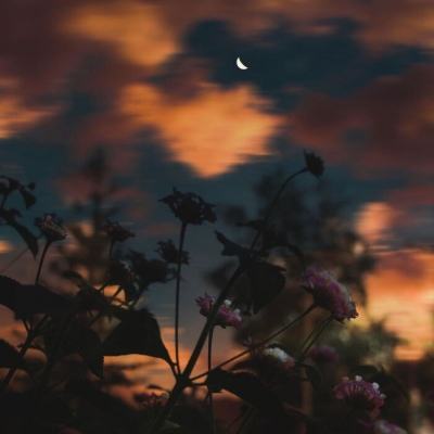 NG体育APP官方下载网址