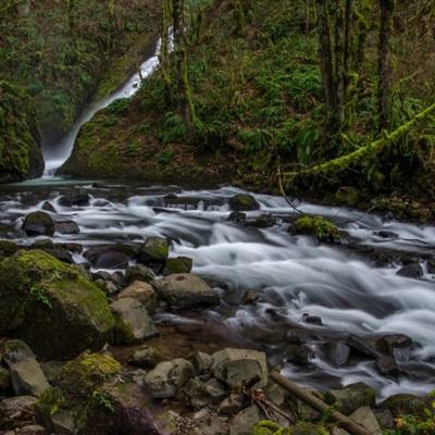 im电竞app下载截图