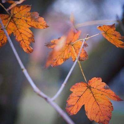 万博app下载最新版