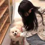 im电竞官方网站